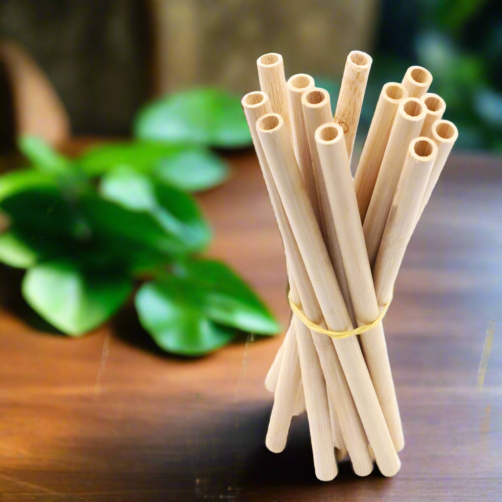 Reusable Straws with Cleaning Brush