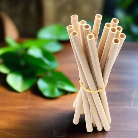 Reusable Straws with Cleaning Brush