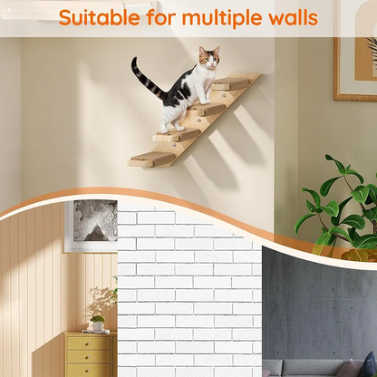 Cat Climbing Shelf Frame