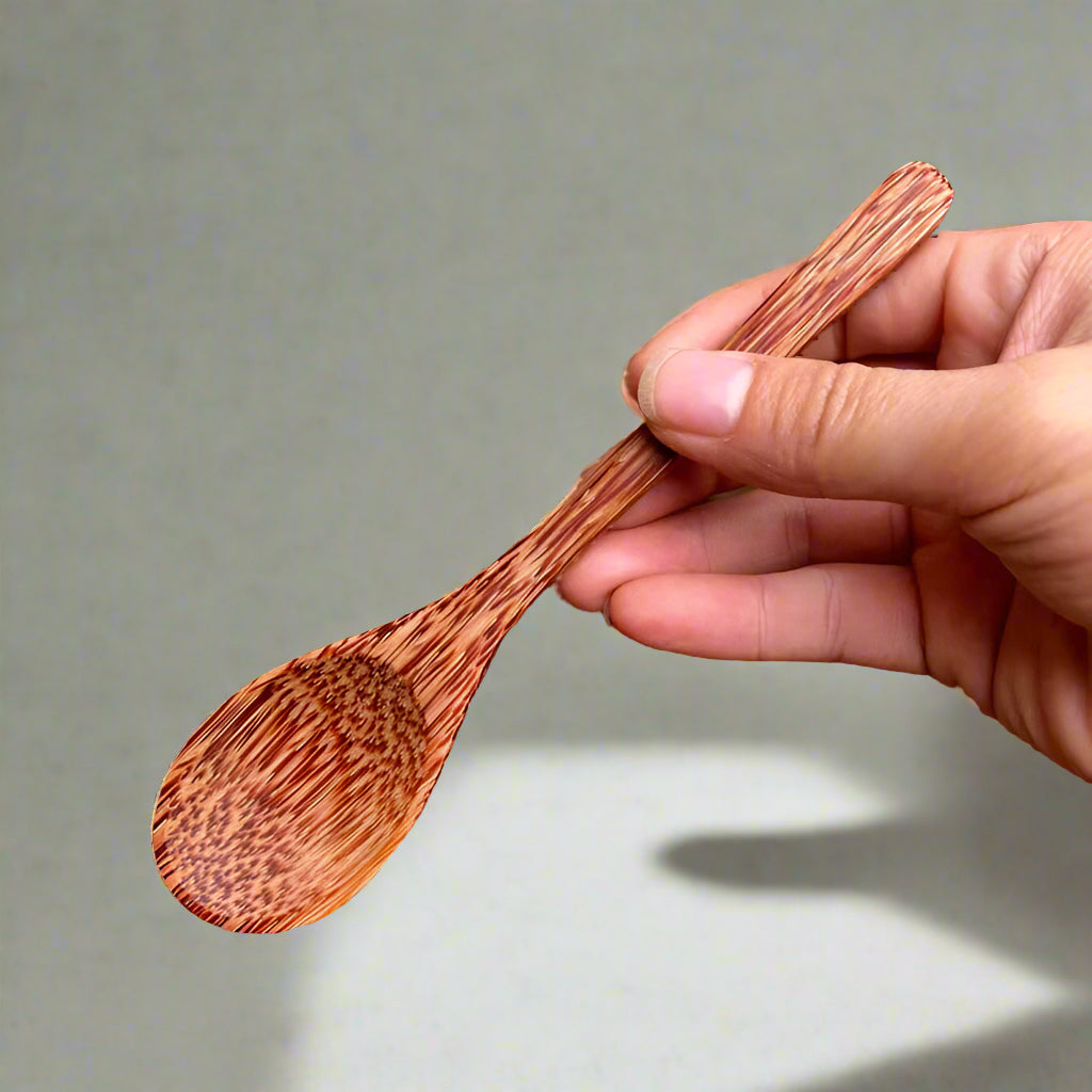 Natural Coconut Wood Bowl & Spoon Set