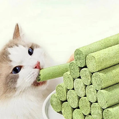 Cat Grass Teething Stick