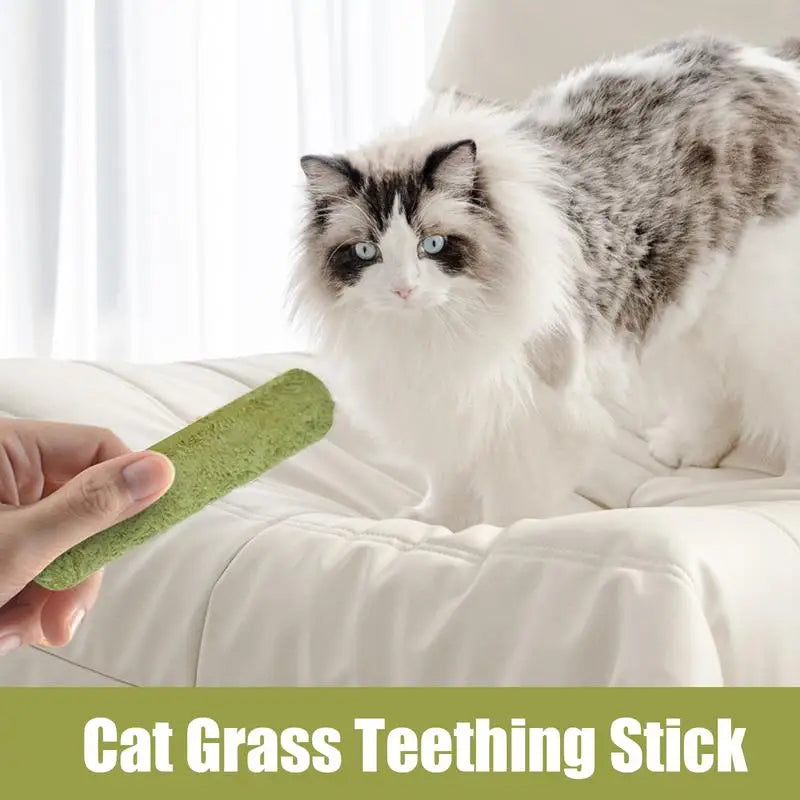 Cat Grass Teething Stick