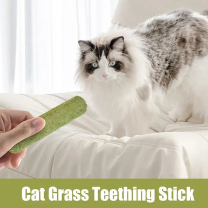 Cat Grass Teething Stick